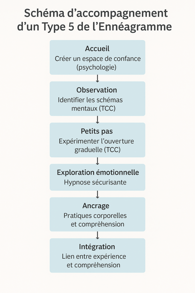Schéma d'accompagnement d'une personne en type 5 de l'énnéagramme avec les TCC, la psychologie et l'hypnose